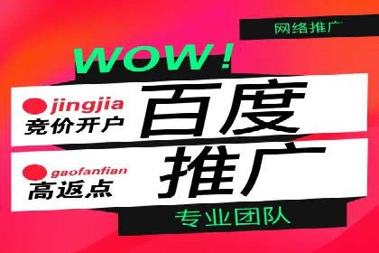 SEM托管公司运营案例精选